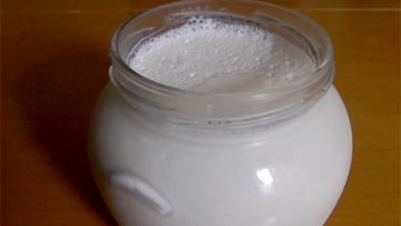 55869048yogurt_83838383