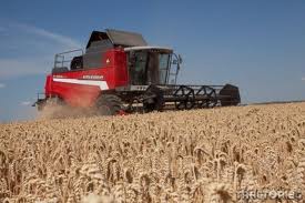 56125941m300