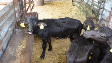 5674357ac70a9aa933c36f210615d045a489b6d