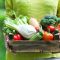 57757318woman-holding-basket-of-farm-food.653x0_q80_crop-smart