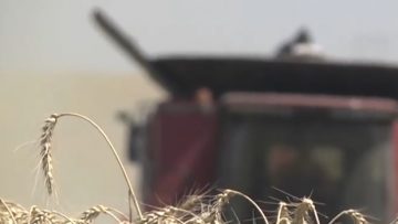 58121285agrotema