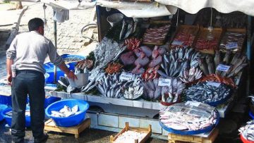 582503239999429624834559fish