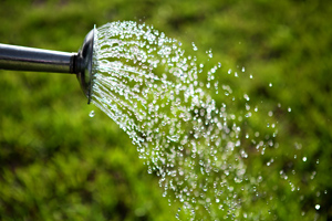 58897470watering