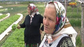 5894480989687815agrotema_17_08