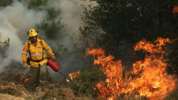 Fires on the center of Portugal