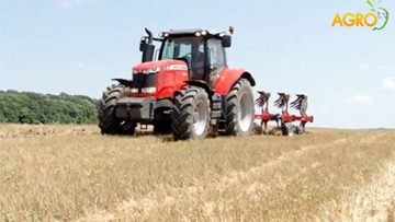 59673997varex_fields_days_Belovets