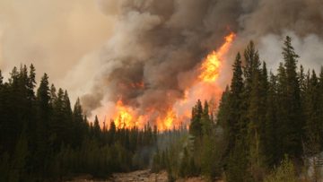 59754225fire_01