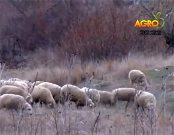 Preload Image