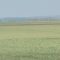 60070366anetol