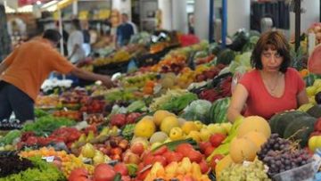 61425388215455_375_282