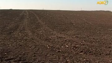 61715968land_price