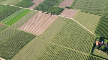 Hoeve in landbouwgebied met akkers; Farm in agricultural area wi