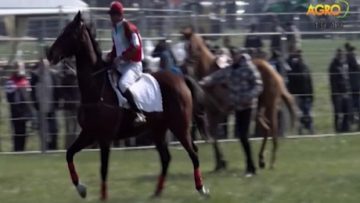 62001392agrotema_21_08
