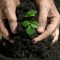 62028749fertilizer-buying-guide_17490_600x450