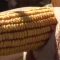 6208994corn