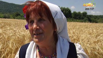 62266068345345345345