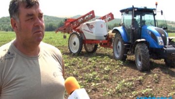 62670696Agroparad_27_08_2016