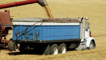 6267731Grain-Trucks