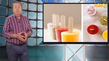 63454136icecream