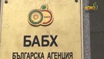 6363104924030216