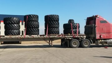 658076agroto