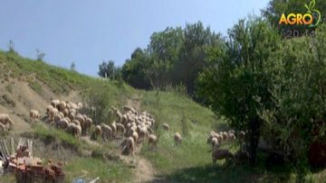 65957657news_06_07