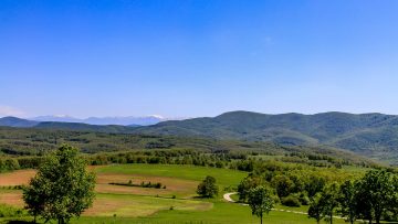 6637222nature-1362685_960_720_1