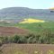 Пазар за земя в България