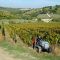 67500906Lamborghini-CV80_3_web