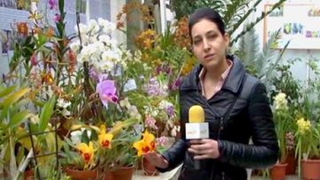 67550559agrotema_17_03_2018