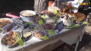 68021231agrotema_05_10_2016