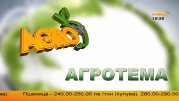 68497616AGROTEMA