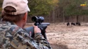 68598246hunting_34346346