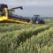 69186707interagri_demonstratsia