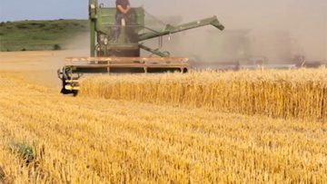 69535808agrotema_28_08_2018
