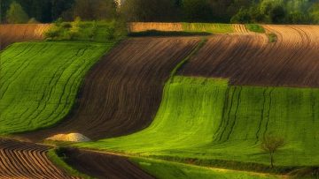 69614100for-20-years-ive-been-photographing-polands-fields-which-look-like-sea-waves-12__880