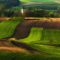 69614100for-20-years-ive-been-photographing-polands-fields-which-look-like-sea-waves-12__880