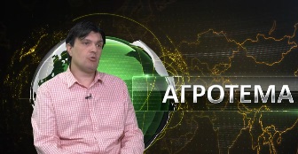 69814707agrotema