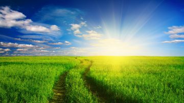 70212650landscapes_nature_fields_ultra_3840x2160_hd-wallpaper-1110439