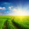 70212650landscapes_nature_fields_ultra_3840x2160_hd-wallpaper-1110439