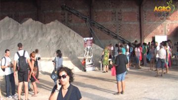 70364604agrotema_30_08_2016