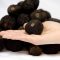 71441915Black_truffle_Manjares_fresh_hand