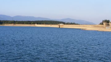 71483750koprinka