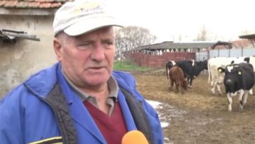 7166531Untitled-1