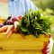 71703623vegetables-box-SS_126744209-560X400