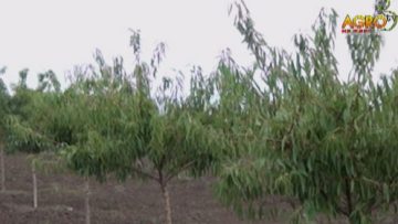 72867757Still0415_00002