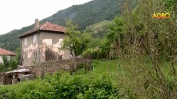 72946581novini_11_05_2016
