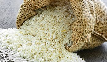 73174754rice1