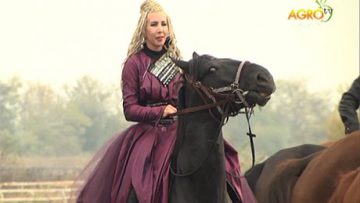 73910487agrotema_28_11_2016