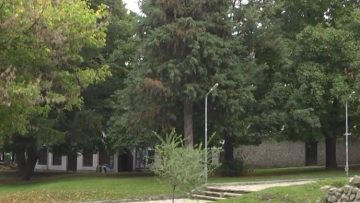 74136201agrotena